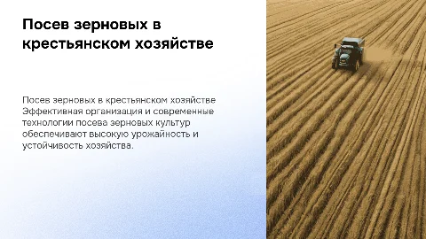 Организация и технология посева зерновых культур