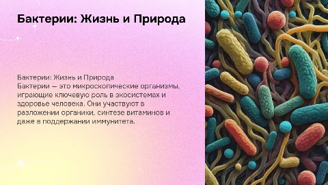 Бактерии и их роль в природе и жизни человека