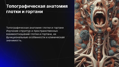 Топографическая анатомия глотки и гортани