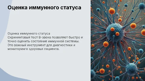 Оценка иммунного статуса. Скрининговый тест В-звено