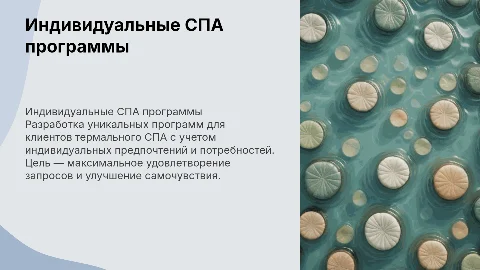 Разработка индивидуальной программы для клиентов термального СПА