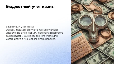 бюджетный учет казны