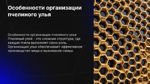 Особенности огранизации пчелиного улью