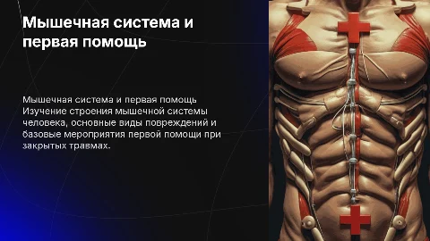 Первая помощь при повреждениях мышечной системы человека
