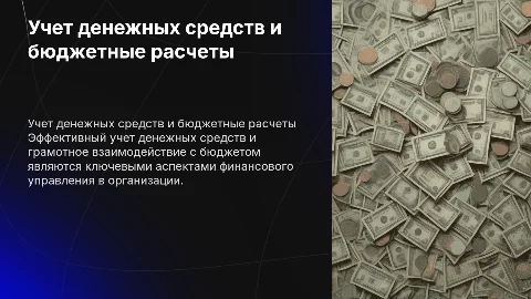 Учет денежных средств и расчетов с бюджетом