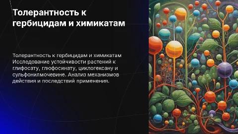 Презентация к курсовой: Толерантность к гербицидам