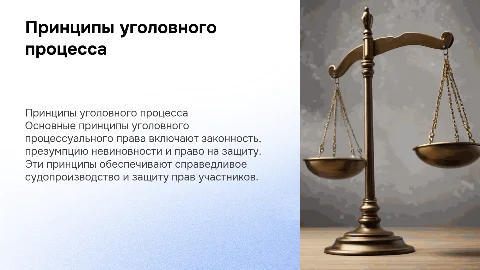 Принципы уголовного процессуального права