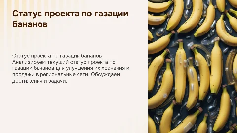 статус по проекту газация банана для продажи региональным сетям