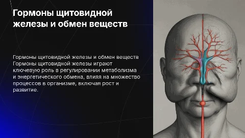 Гормоны щитовидной железы и их влияние на обмен веществ