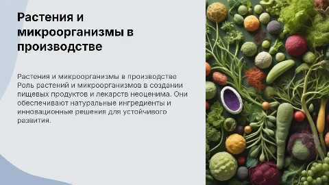 Растения и микроорганизмы в производстве пищевых продуктов