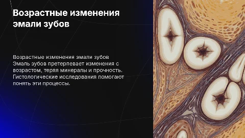 возрастные изменения эмали гистология