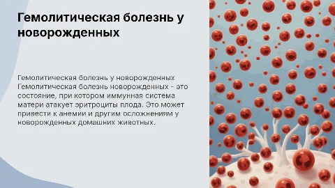 Гемолитическая болезнь новорожденных домашних животных