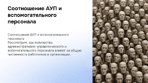 Соотношение АУП и вспомогательного персонала в организации