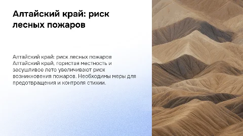 Алтайский край: риск лесных пожаров и меры предотвращения