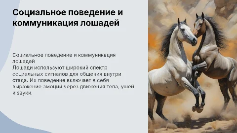 Социальное поведение и коммуникация лошадей