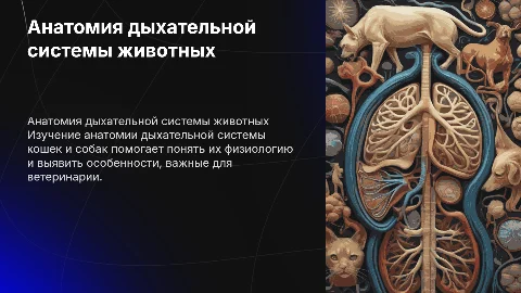 Анатомия: дыхательная система кошек и собак
