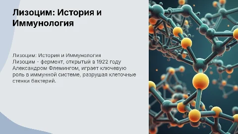 Лизоцим: история создания и вклад в иммунологию