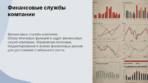 финансовая службы компании