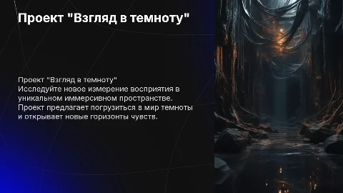 Презентация проекта "Взгляд в темноту" - уникальное пространство