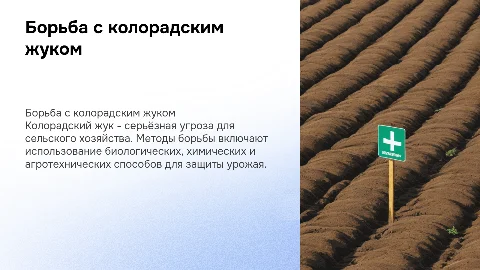 Борьба с колорадский жук