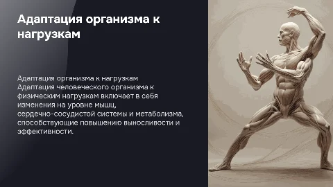 Адаптация человеческого организма к физическим нагрузкам