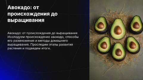 Авокадо: происхождение и способы домашнего выращивания