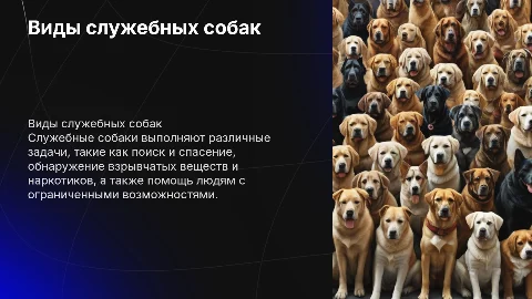 Виды служебных собак