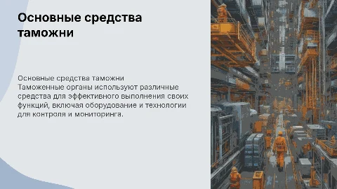 основные средства таможенных органов
