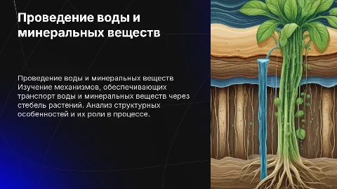 Лабораторная работа: Проведение воды и минеральных веществ