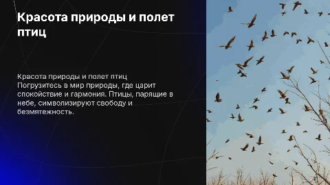 на фоне простая картинка природы и летают птички