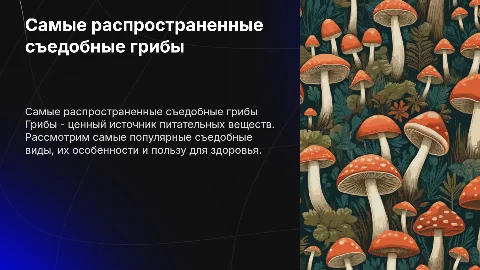 на тему самые распространенные съедобные грибы
