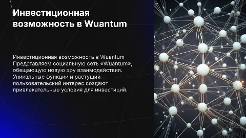 Инвестиционное предложение для инвесторов в Wuantum