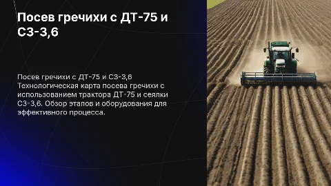 Посев гречихи с ДТ-75 и СЗ-3,6: технологическая карта