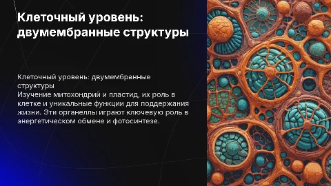 Клеточный уровень: митохондрии и пластиды в клетке