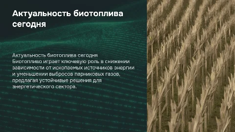 Актуальность биотоплива в топливно-энергетическом комплексе