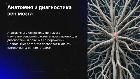 Анатомия венозной системы головного мозга и диагностика