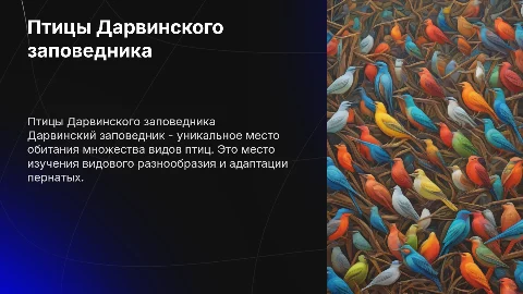 Птицы Дарвинского заповедника