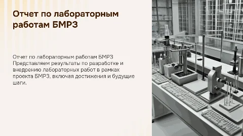 отчет по созданию лабораторных работ по БМРЗ