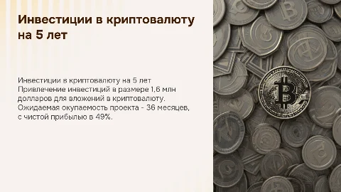Ищем инвесторов: 1,6 млн $ в крипту на 5 лет