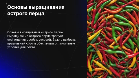 Выращивание острого перца