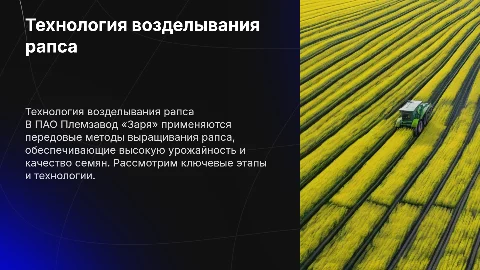 Технология возделывания рапса на семена в ПАО «Заря»