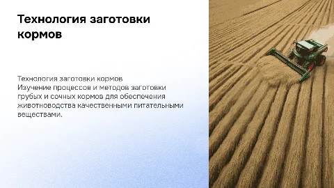 Технология заготовки грубых и сочных кормов