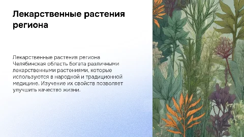 Лекарственные растения Челябинской области