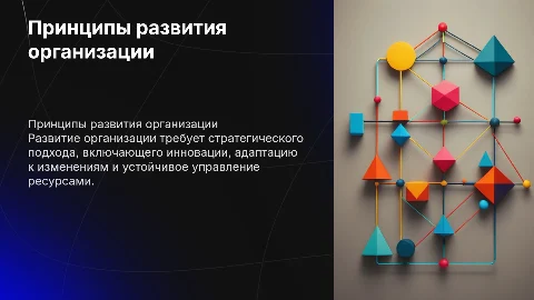Принципы развития организации