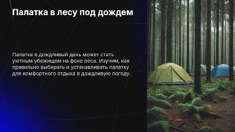 Палатка на фоне леса в дождливую погоду