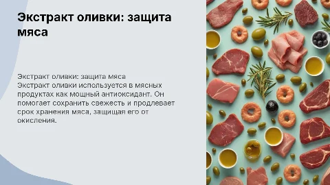 экстракт оливки как антиоксидант в мясных продуктах