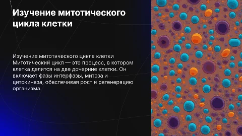Изучение митотического цикла деления клетки