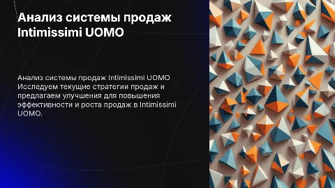 Анализ и совершенствование системы продаж Intimissimi UOMO