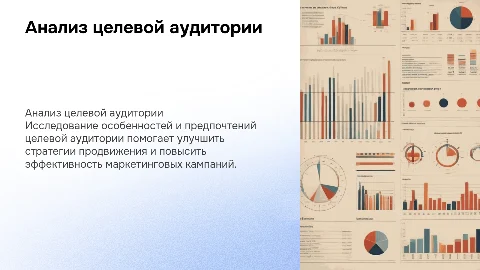 Анализ целевой аудитории
