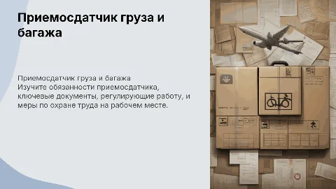 Должностные обязанности приемосдатчика груза и багажа